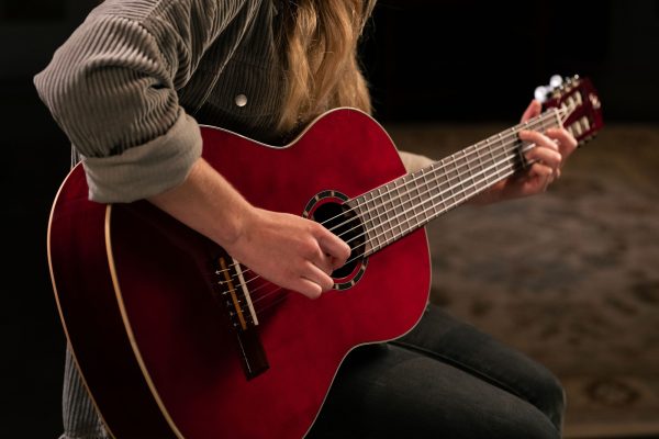 Ortega R121WR Klasična gitara sa torbom (SET) - Image 3