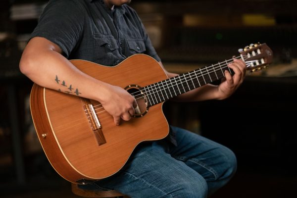 Ortega RCE131 Klasična koncertna gitara sa torbom (SET) - Image 3