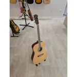 Ivan'S guitar AD-10 NT Akustična gitara